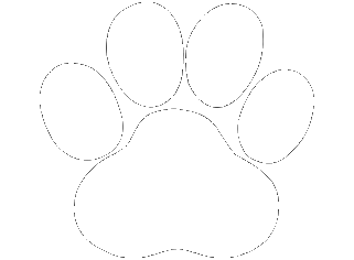 Pet Friendly