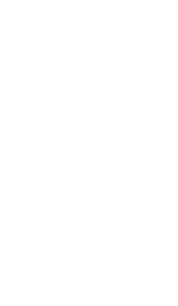 Hero emblem