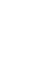 Hero emblem