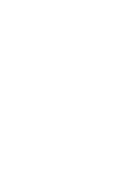 Hero emblem